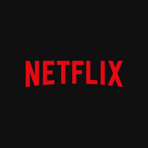 Netflix 12 Month Subscription